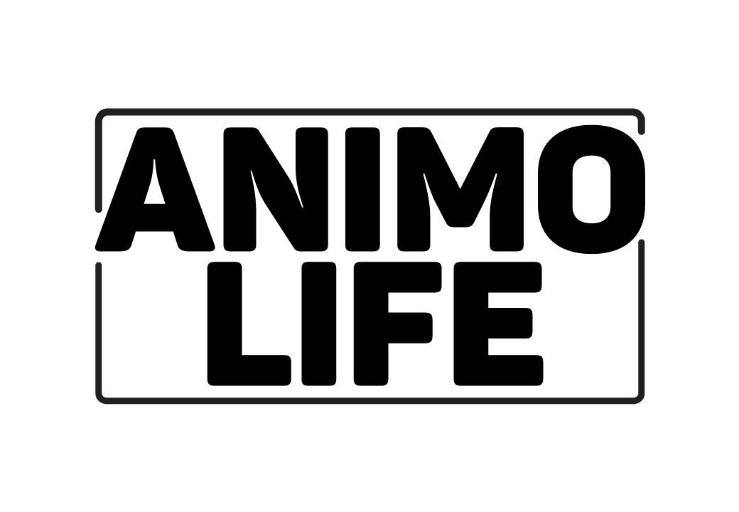 tampilan website Animo Life