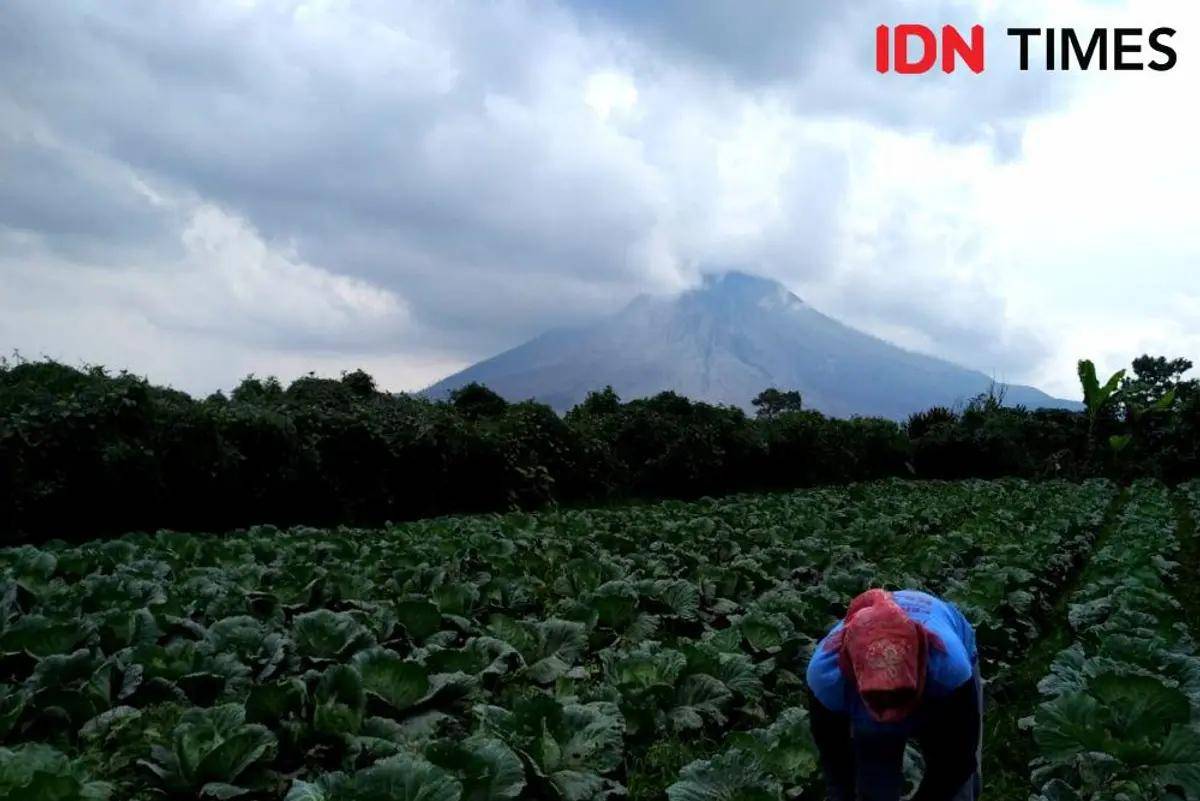 IDN Times/Prayugo Utomo
