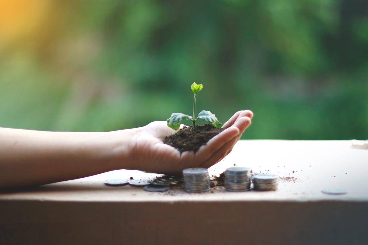 ilustrasi investasi hijau jadi salah satu konsep investasi yang diminati saat ini (pexels.com/Akil Mazumder)