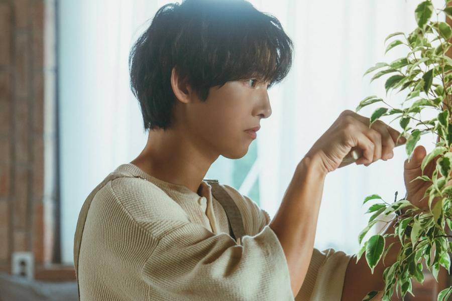 Sun Woo Hae (Song Joong Ki) di My Youth (instagram.com/jtbcdrama)