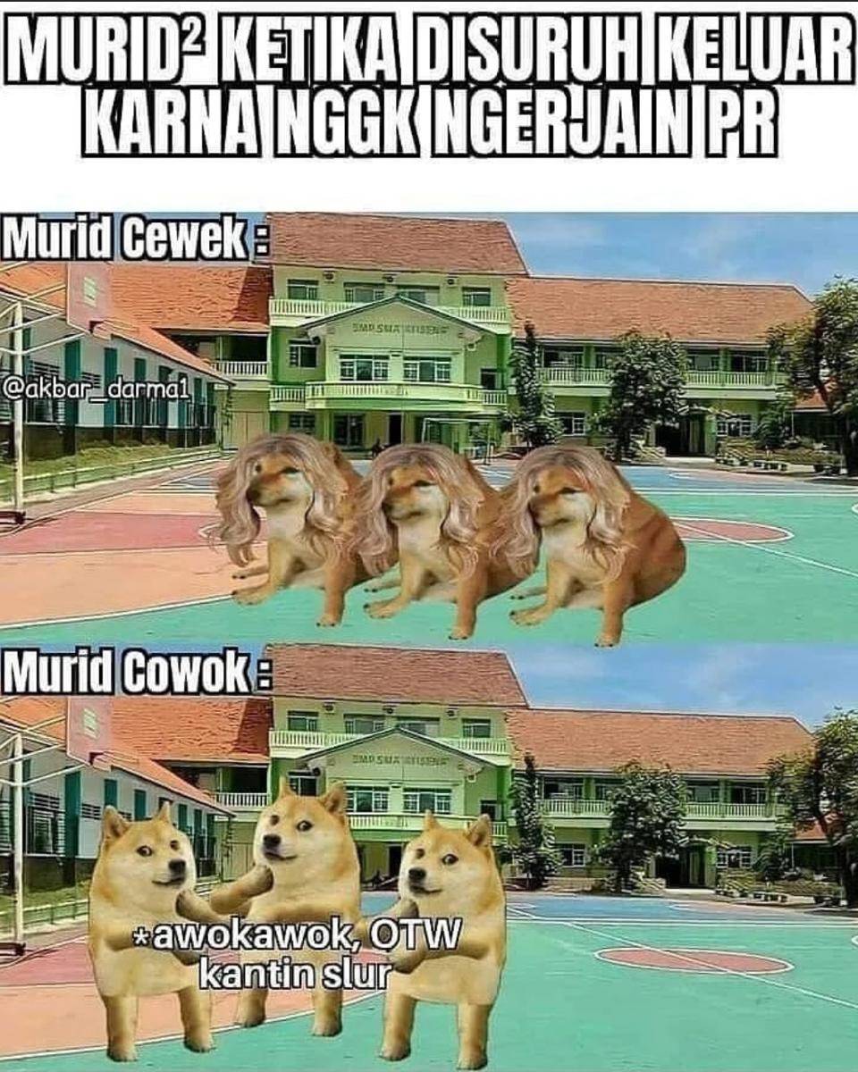 meme kantin