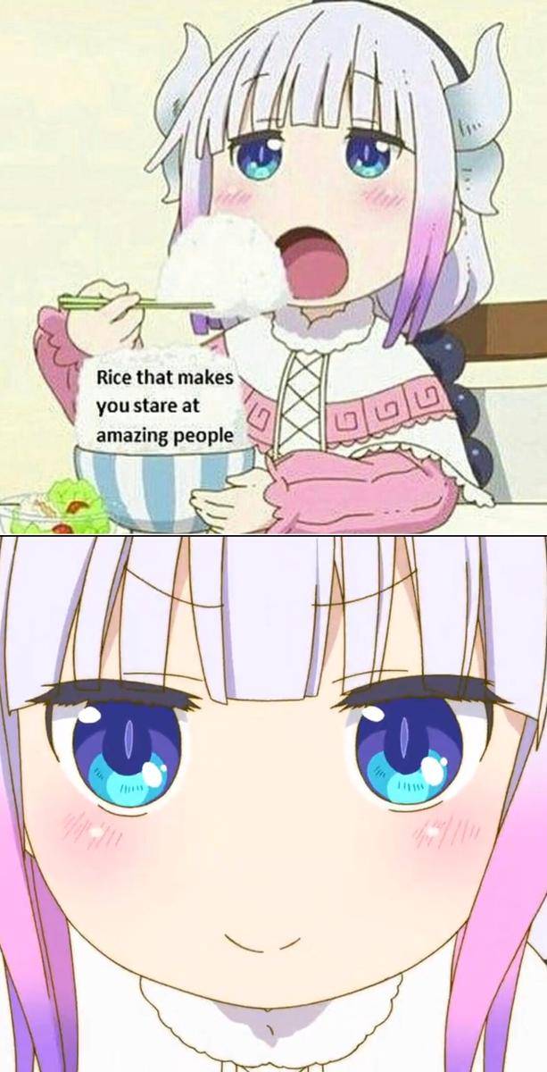 meme anime tentang nasi