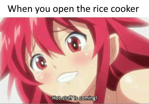 meme anime tentang nasi