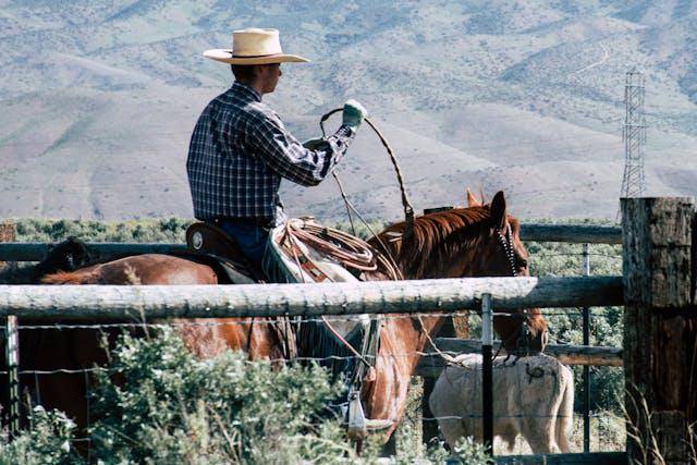 ilustrasi kemeja cowboy (pexels.com/Brett Sayles)