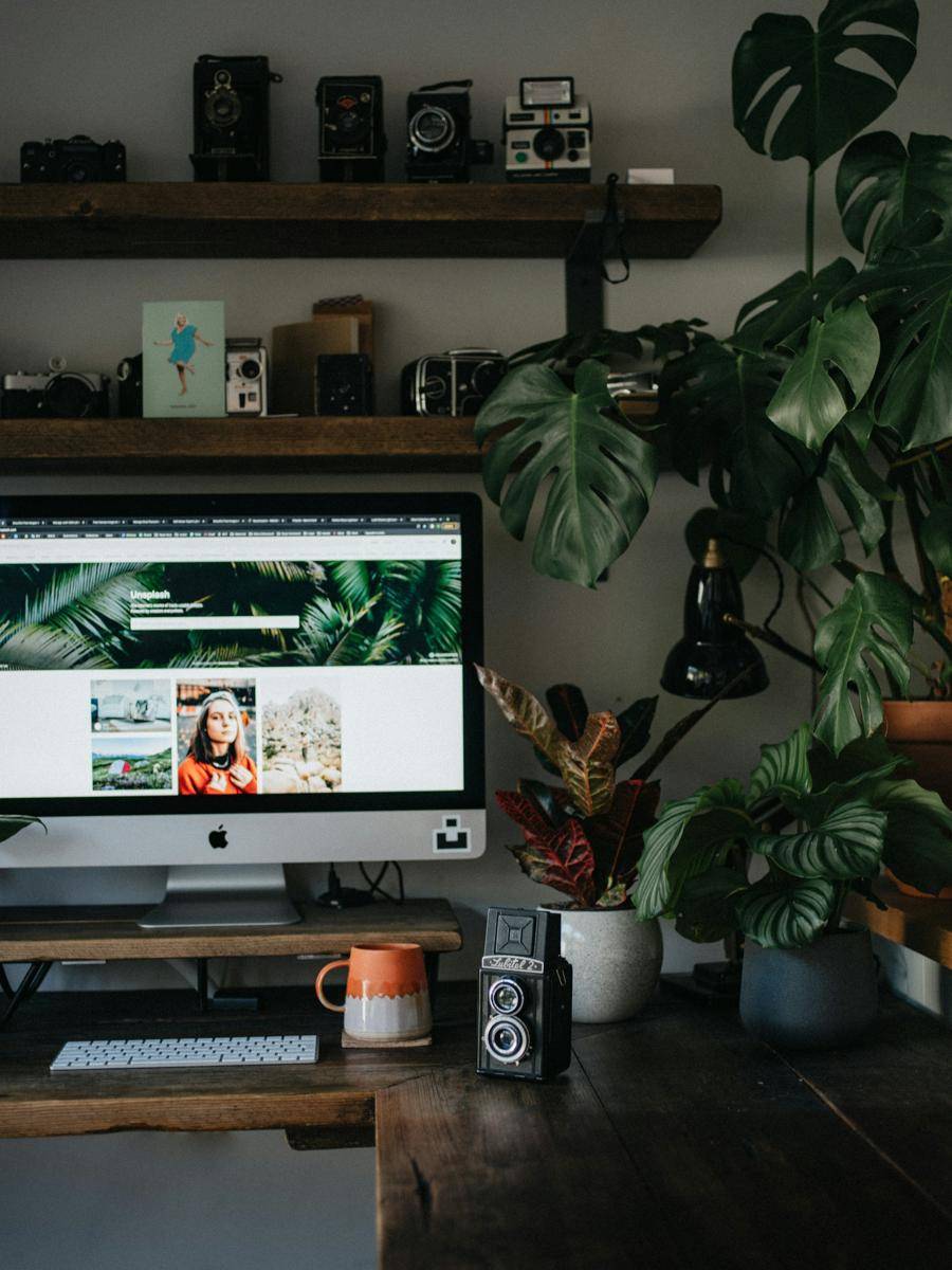 annie-spratt--26cgGNl4YU-unsplash.jpg