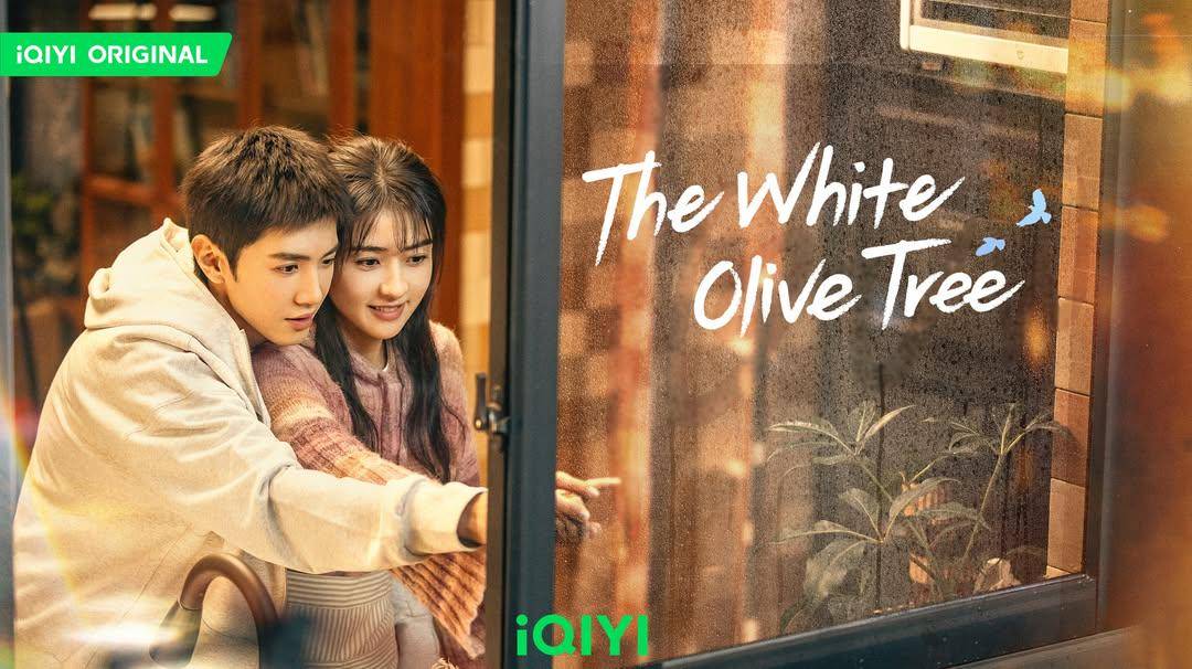 The White Olive Tree