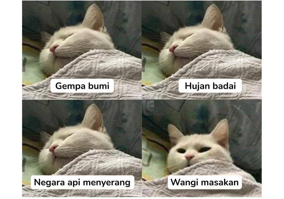 meme wangi