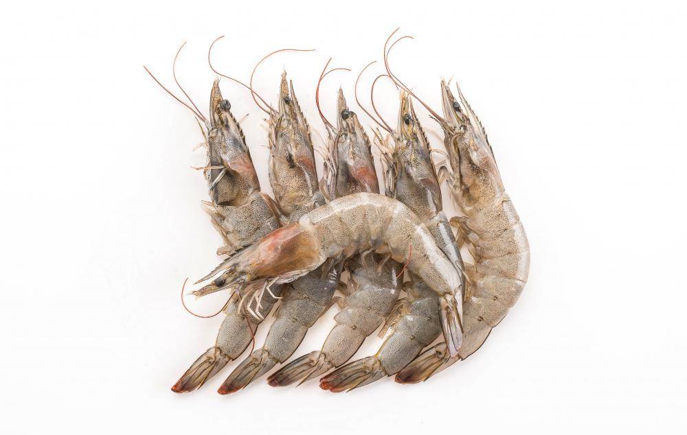 ilustrasi udang (freepik.com/top