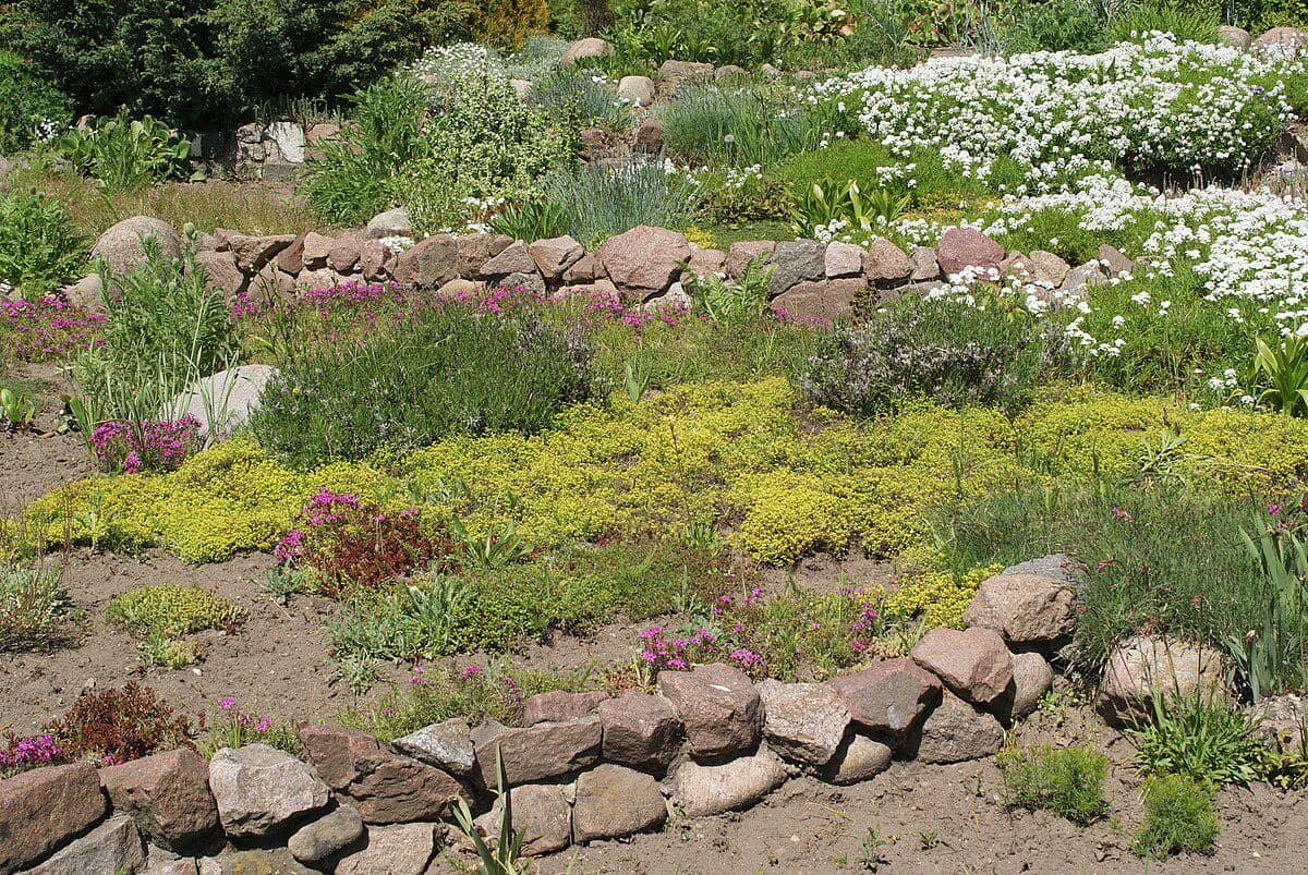 potret bagian dalam Kebun Raya Minsk