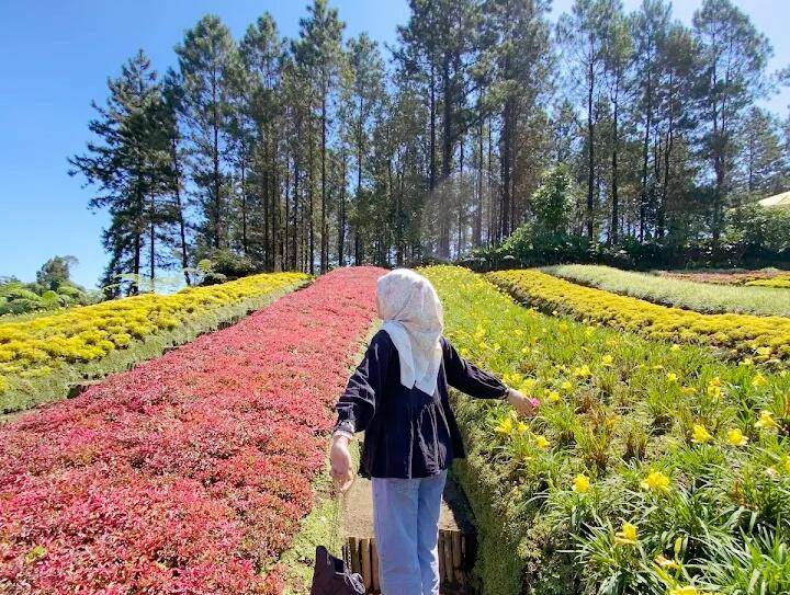 D'Las Lembah Asri Serang, Purbalingga (google.com/maps/Marlina Anggarwati)