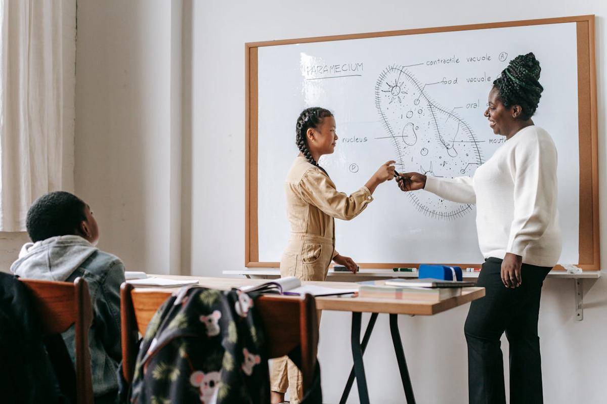ilustrasi pembelajaran di kelas (pexels.com/Katerina Holmes)