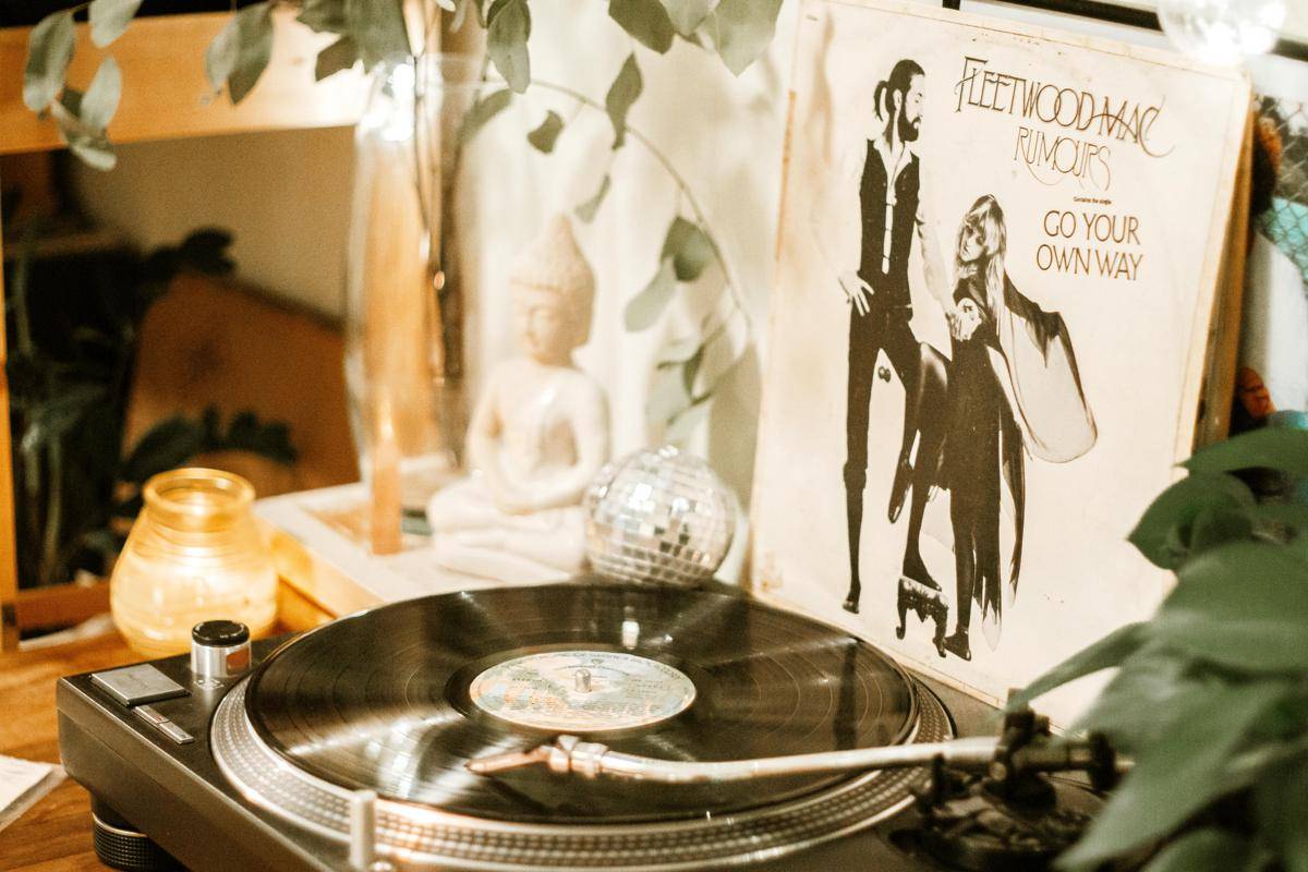 ilustrasi vinyl (pexels.com/Alina Vilchenko)