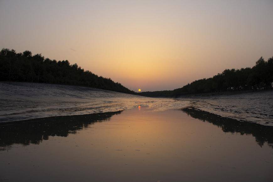 Potret Sundarbans (unsplash.com/UnKknown Traveller)  