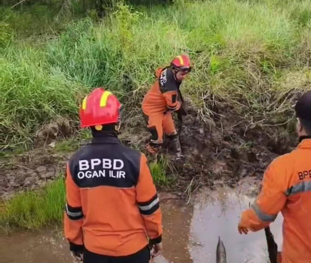 Petugas BPBD Ogan Ilir saat berjibaku memadamkan api Karhutla. (Dok. BPBD Ogan Ilir)