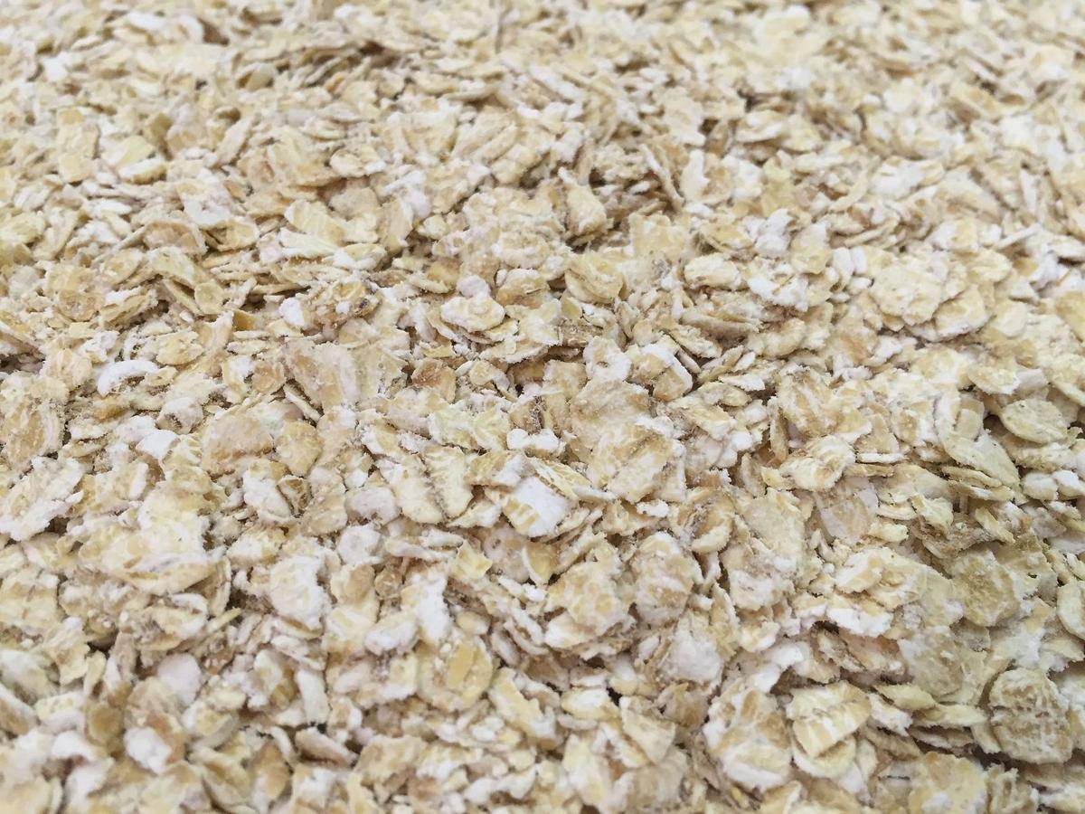 ilustrasi oatmeal instan 