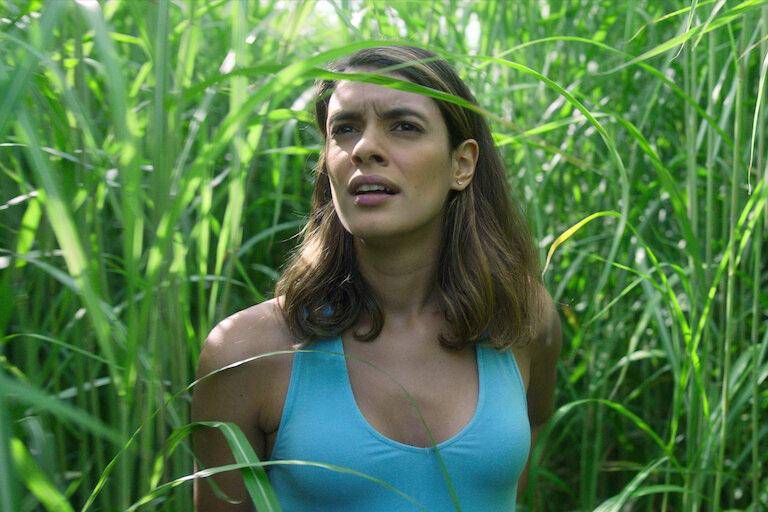 adegan dalam film In the Tall Grass
