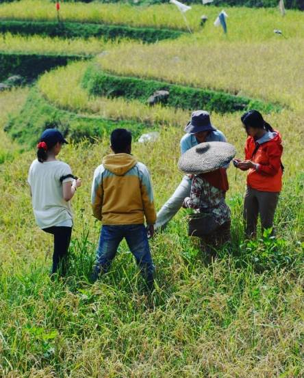 Desa Wisata Malasari di Bogor