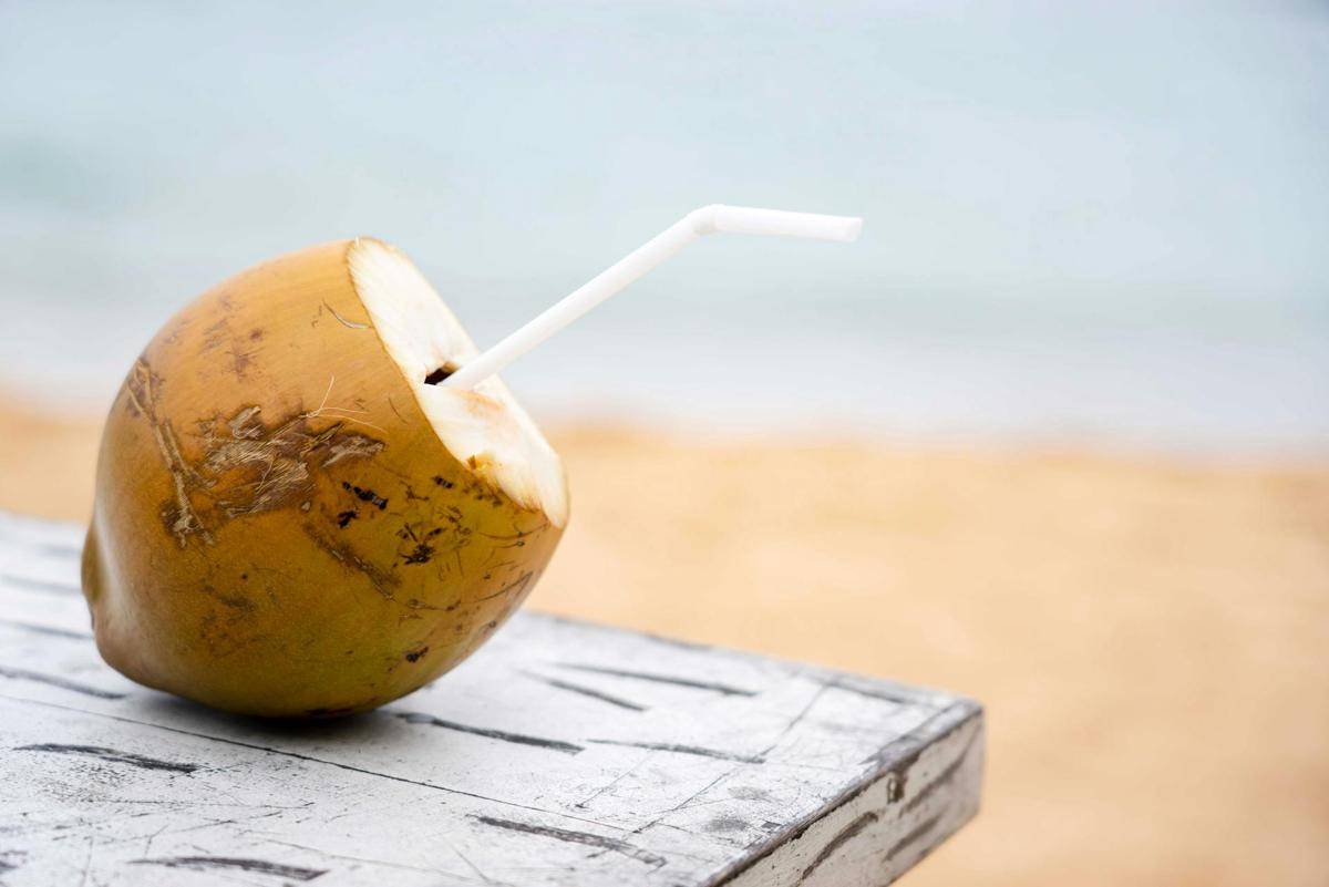 ilustrasi air kelapa