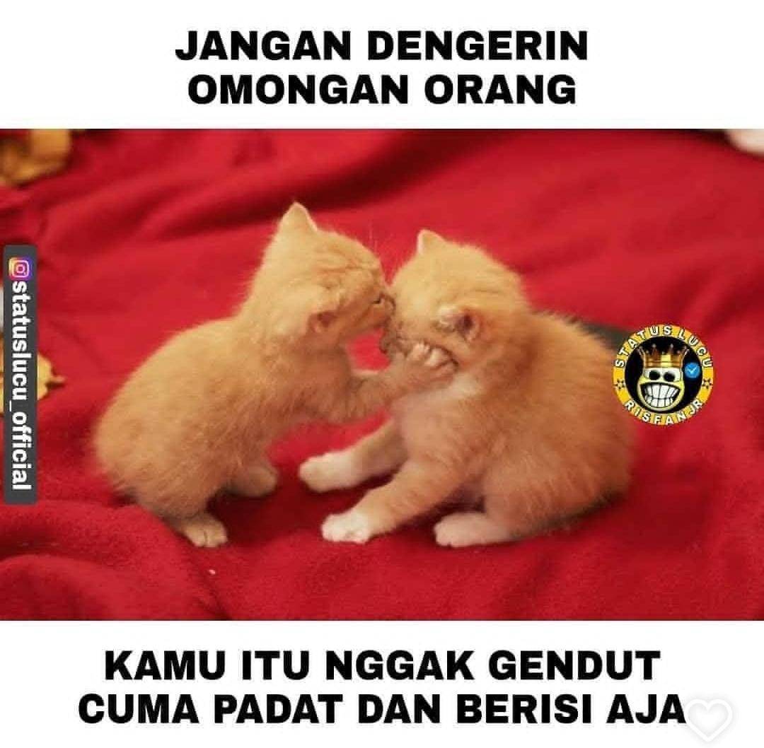 meme berat badan naik 