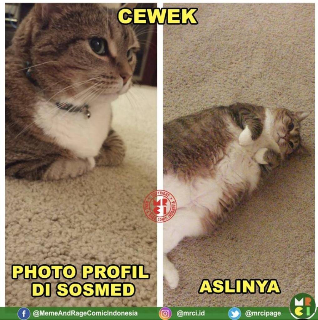 meme berat badan naik 