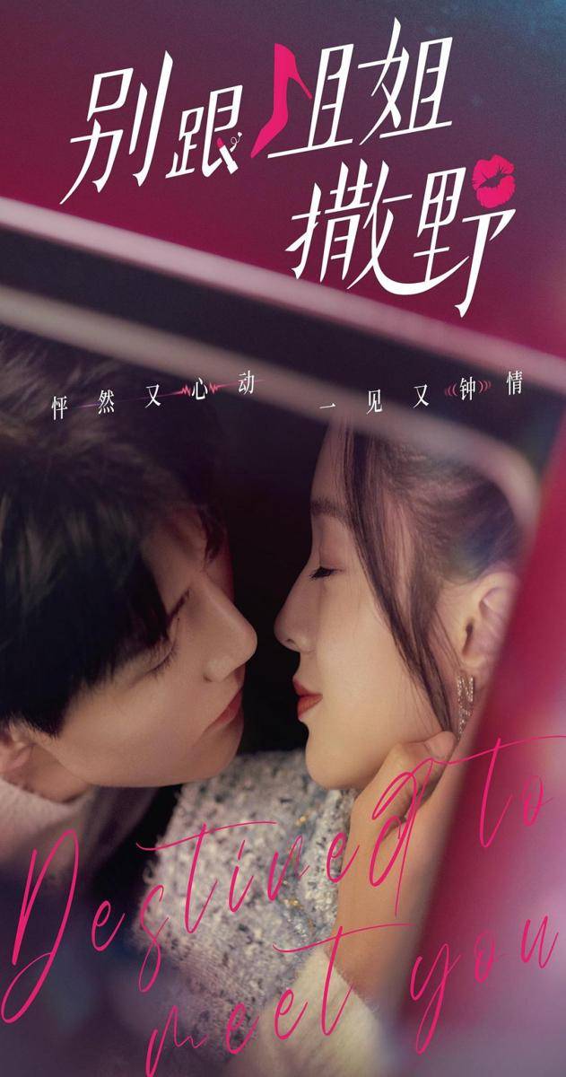 Poster dracin Destined to Meet You (mydramalist.com)