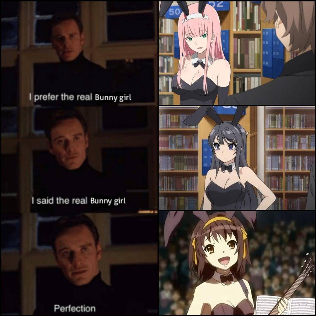 meme anime tentang bunny girl