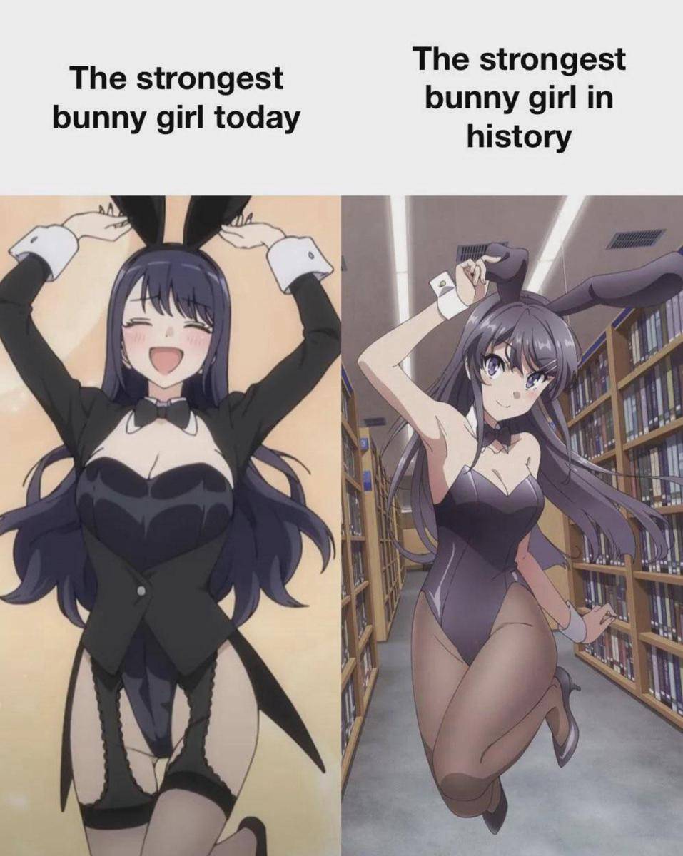 meme anime tentang bunny girl