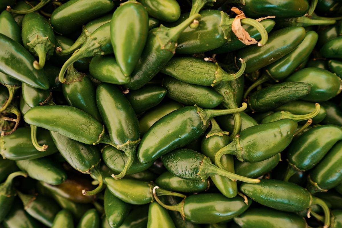 ilustrasi jalapeño (freepik.com/ArthurHidden)