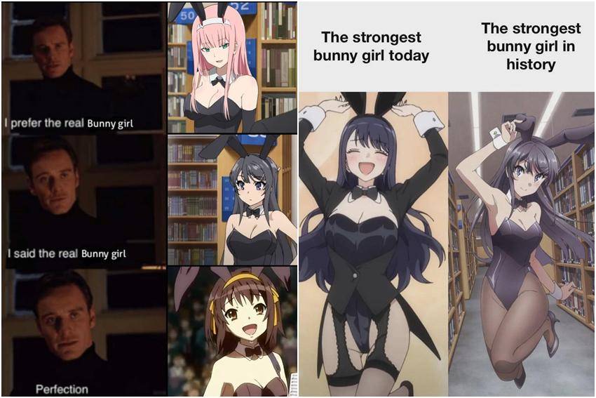 meme anime tentang bunny girl 