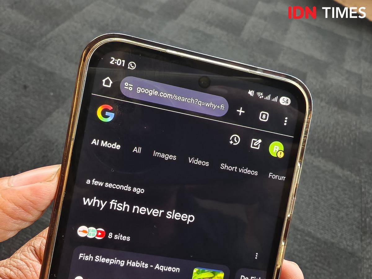 Google AI Mode (IDN Times/Fatkhur Rozi)
