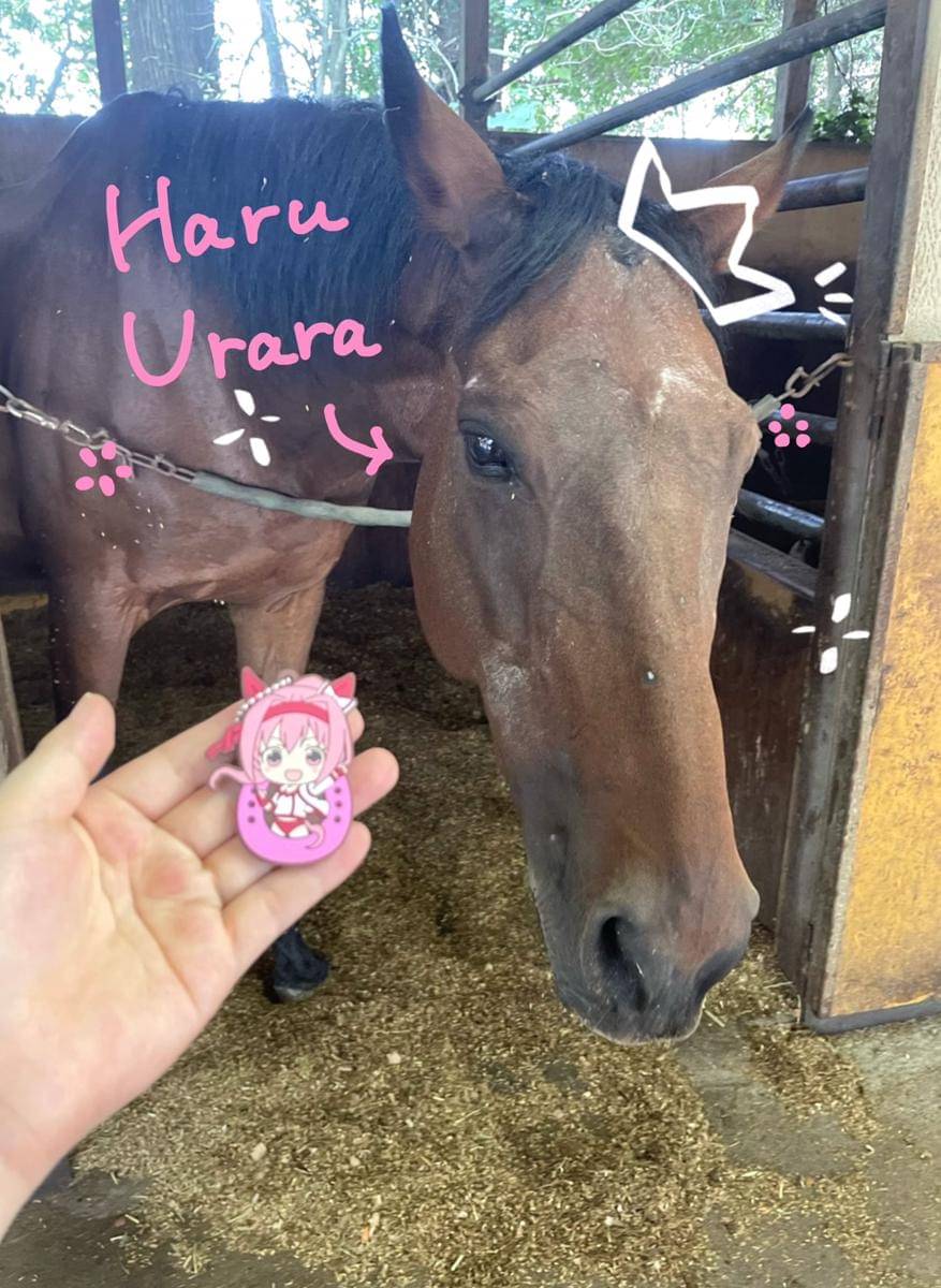Haru Urara