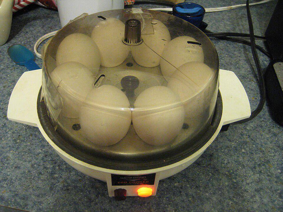 potret egg cooker (commons.m.wikimedia.org/TaurusEmerald)