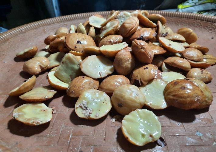 Jengkol segar