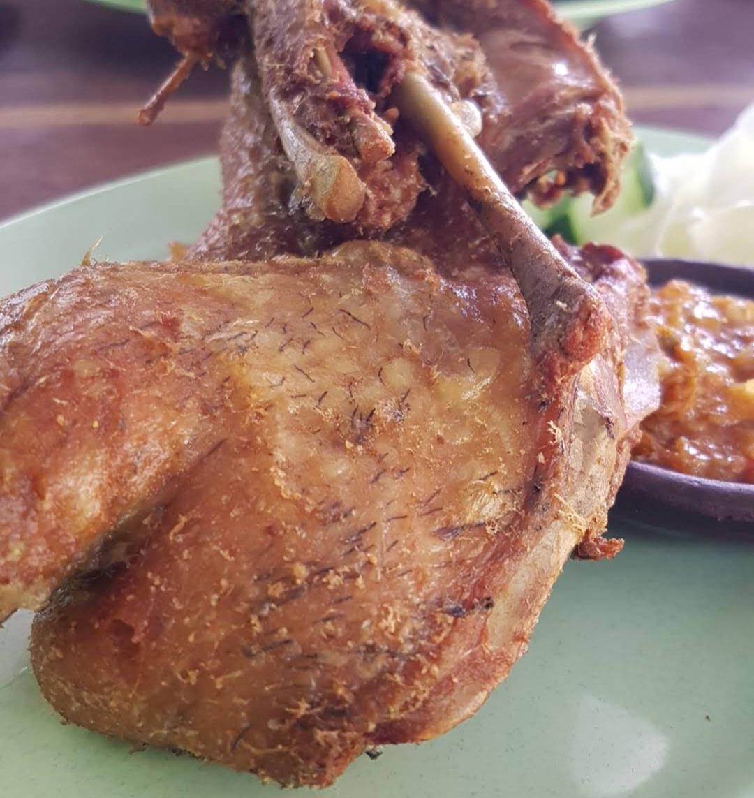 Bebek Kang Jono Gayamsari (google.com/maps/Rey Riyanta)