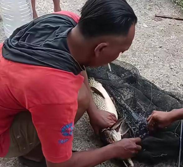 Pemancing Tangkap Ikan Aligator di Sungai Belik Jejeran Bantul