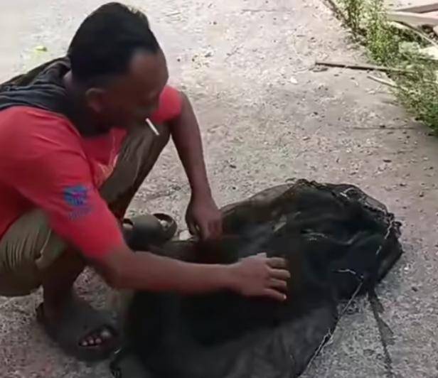Pemancing Tangkap Ikan Aligator di Sungai Belik Jejeran Bantul