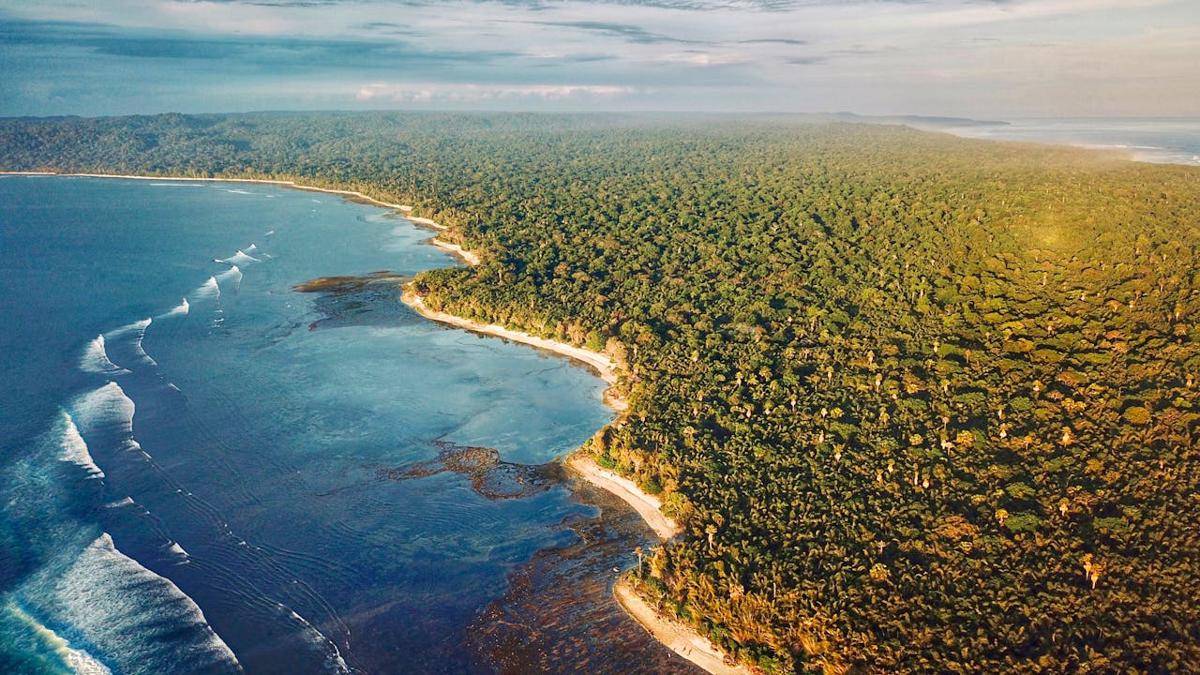 Pemandangan hutan dan pesisir lautan. (www.pexels.com/Arist Creathrive)