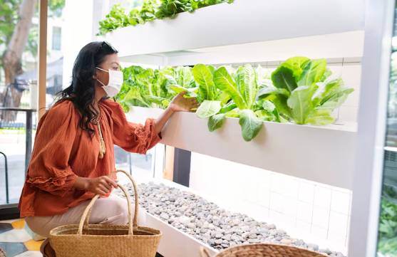 ilustrasi urban farming 