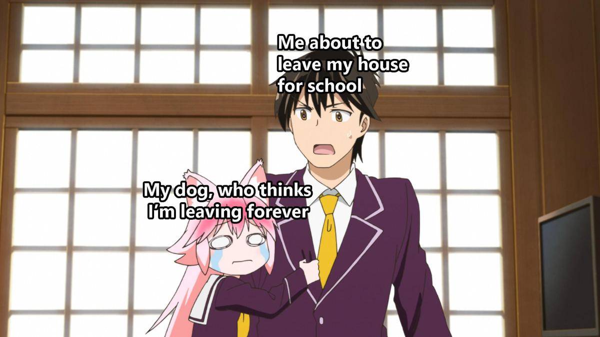 meme anime tentang anjing