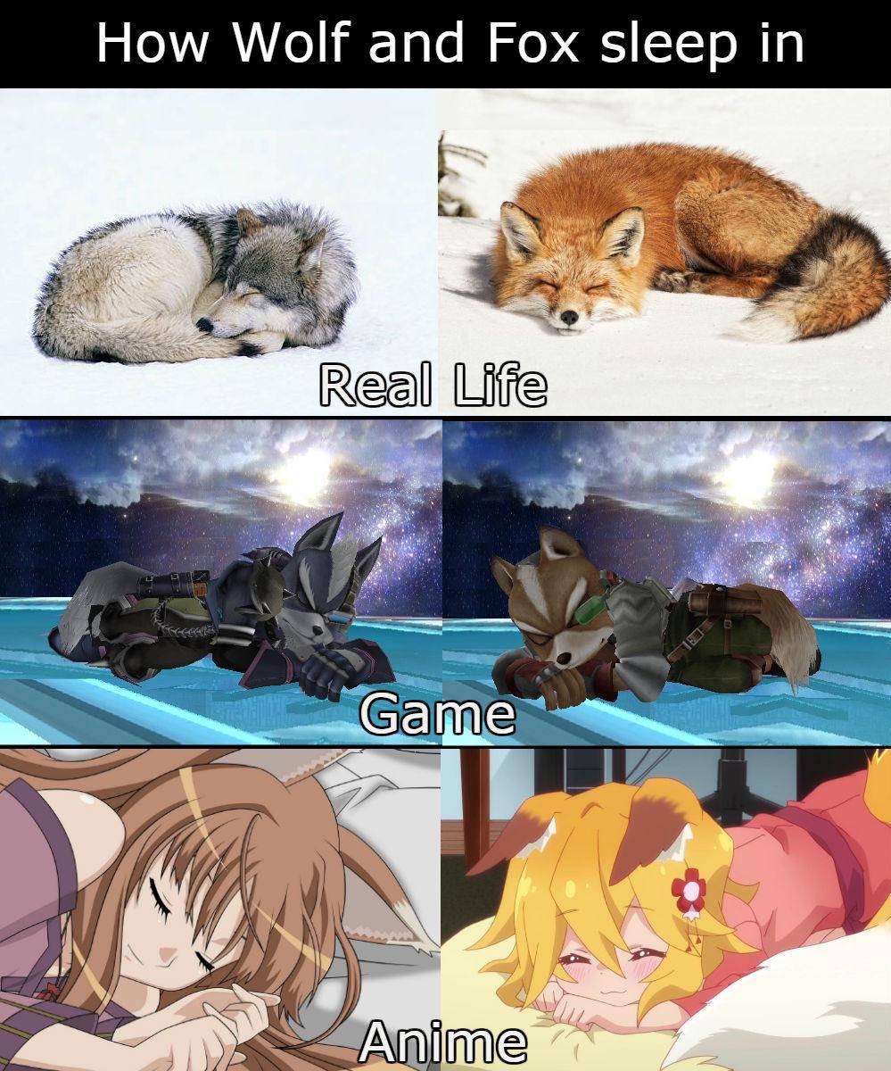 meme anime tentang tidur