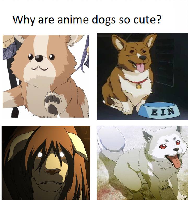 meme anime tentang anjing