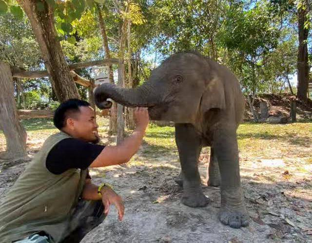 potret bayi gajah Kalistha Lestari bersama Mahout Tengku Asril (instagram.com/tengku.asril)