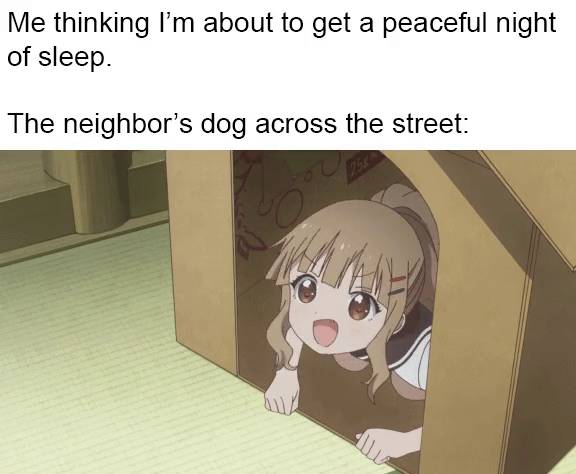 meme anime tentang anjing