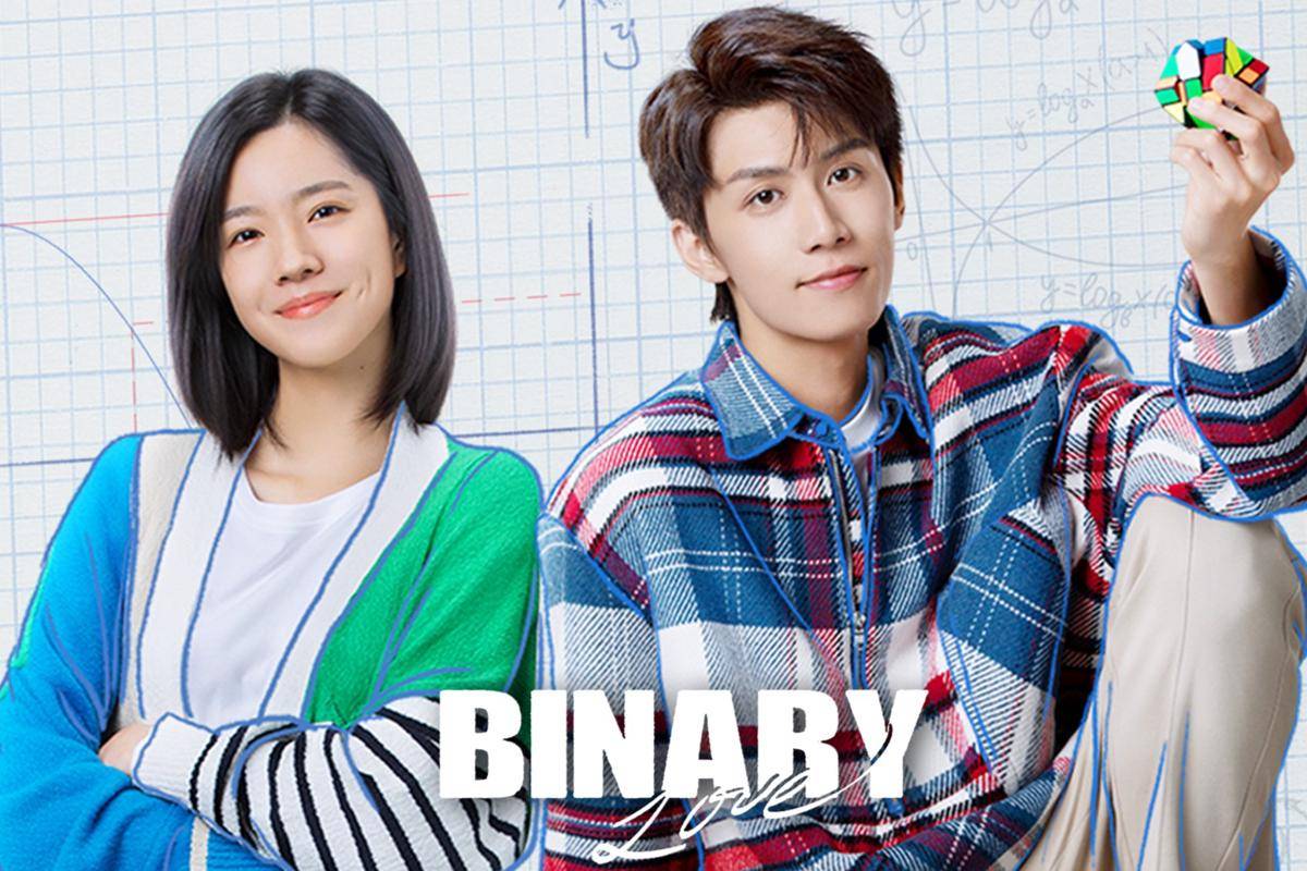 poster drama China Binary Love