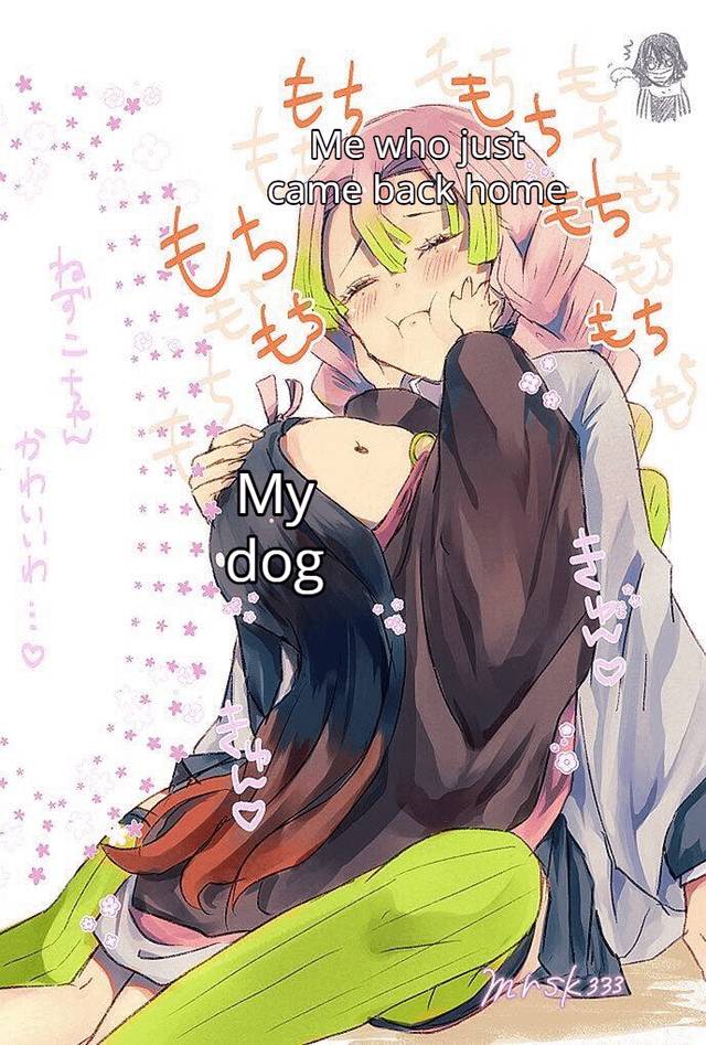 meme anime tentang anjing