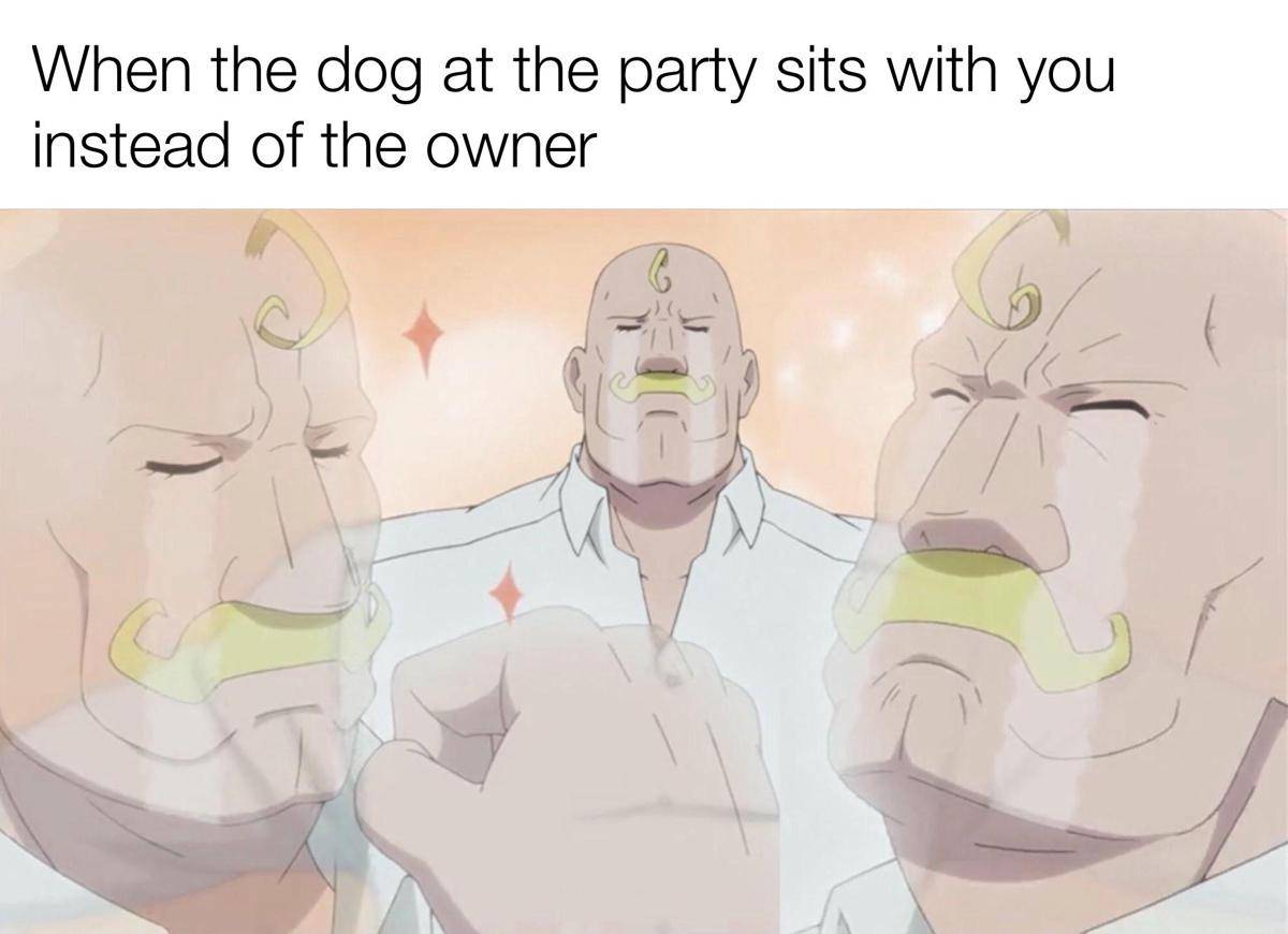 meme anime tentang anjing