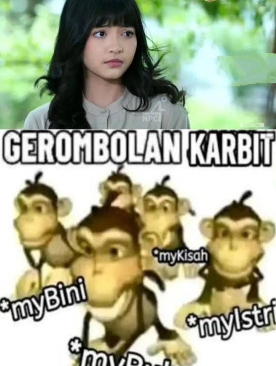 meme Vayala