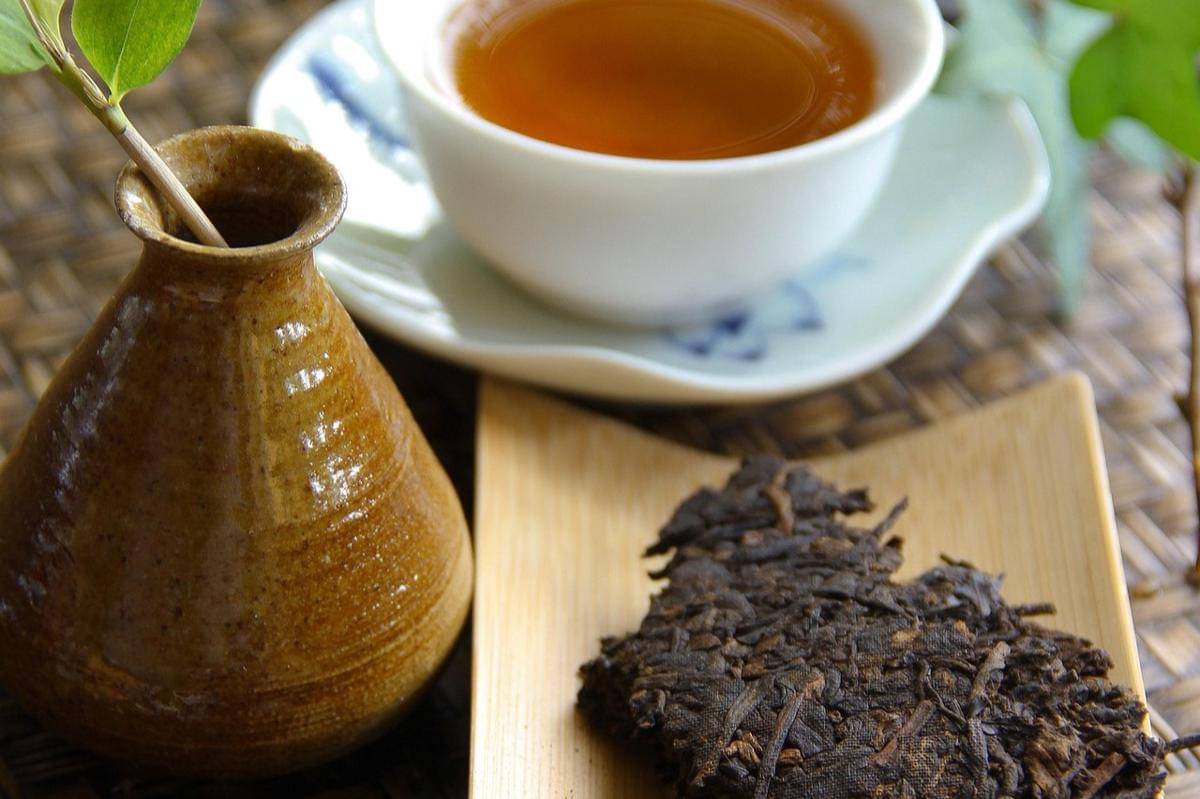 ilustrasi pu'er tea khas Yunnan, China