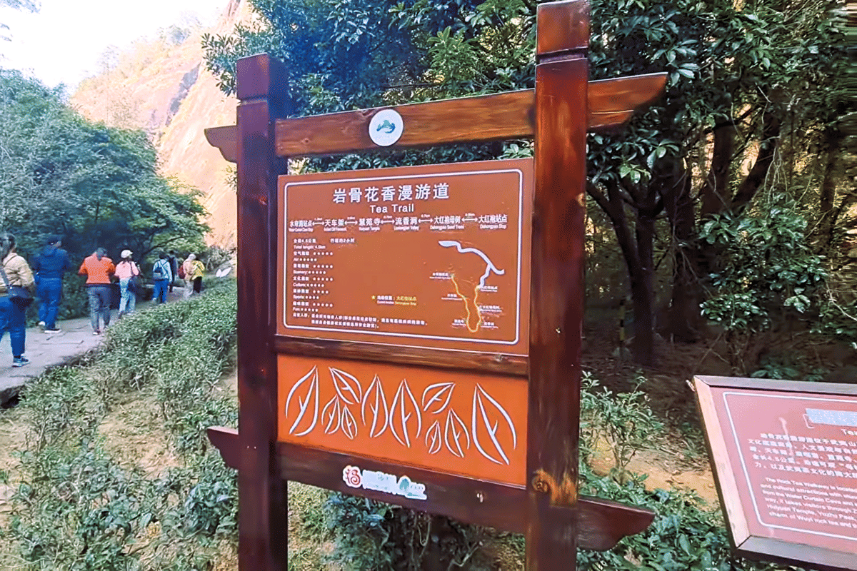 ilustrasi Wuyishan, China