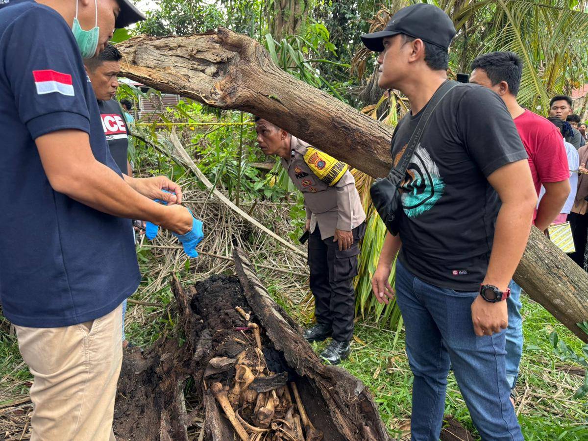 Warga temukan tulang belulang dan kaos di dalam pohon aren yang ditebang (dok.istimewa)